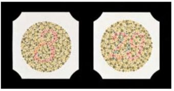 Ishihara 24 testov